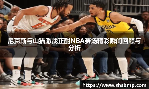 尼克斯与山猫激战正酣NBA赛场精彩瞬间回顾与分析